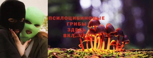 гидра Балахна
