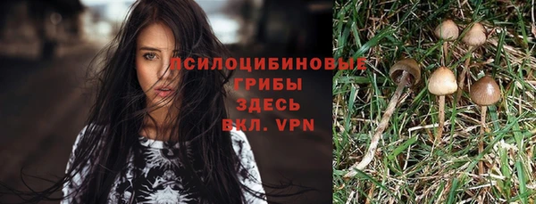 хмурый Баксан