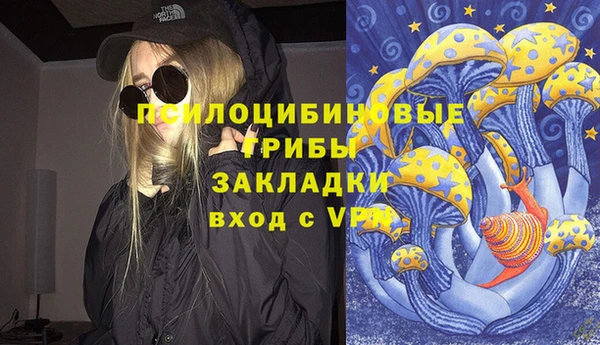 гидра Балахна